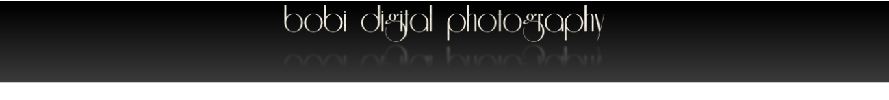 bobi digital photography
